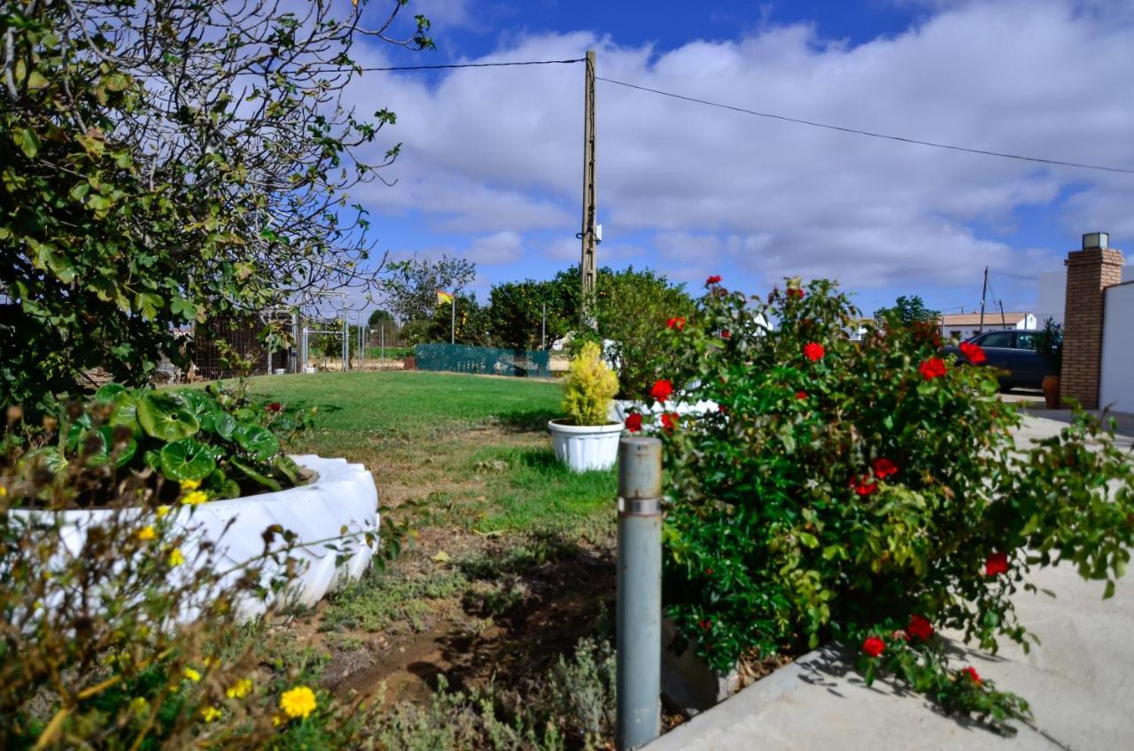 Casa Manoli Villa Conil De La Frontera Exteriör bild