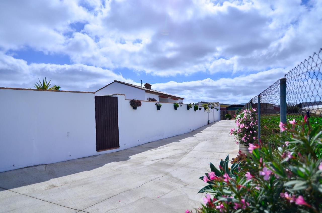 Casa Manoli Villa Conil De La Frontera Exteriör bild